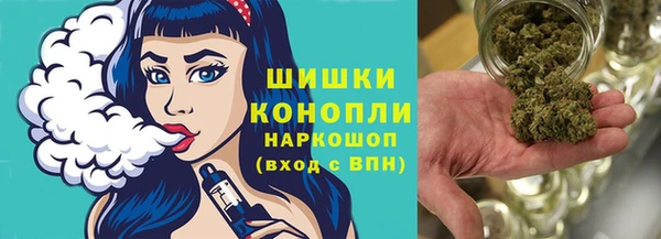 спайс Арсеньев