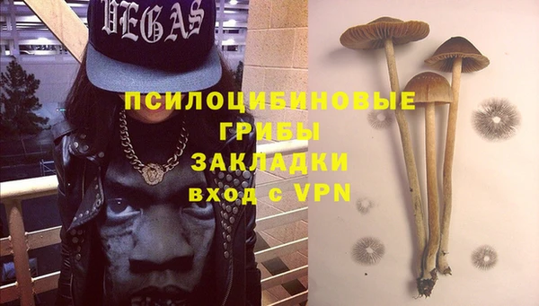 каннабис Аркадак