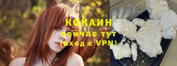 спайс Арсеньев