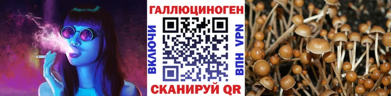 Псилоцибиновые грибы GOLDEN TEACHER  Курган 